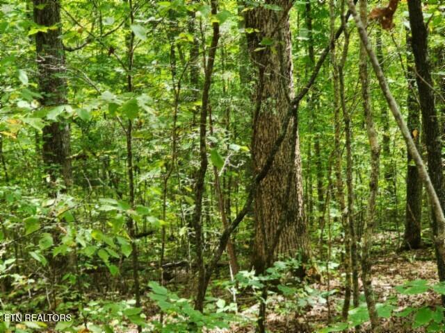 16.22AC Glenobey Road Jamestown TN 38556
