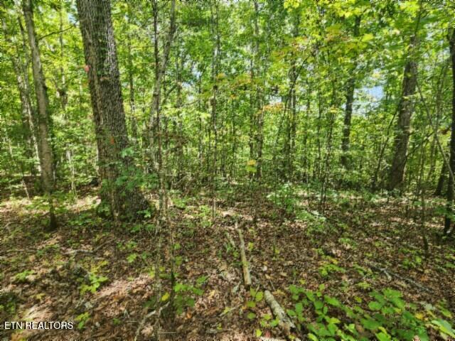 16.22AC Glenobey Road Jamestown TN 38556
