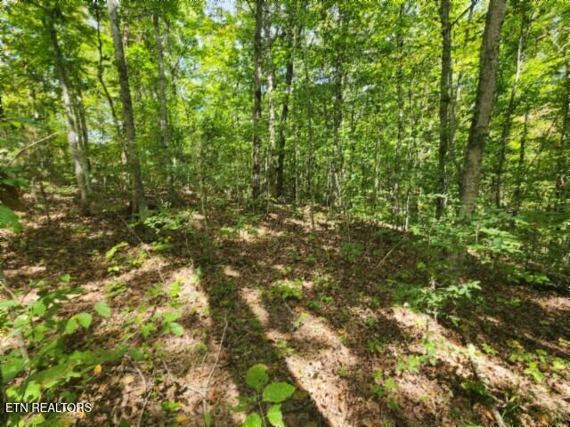 16.22AC Glenobey Road Jamestown TN 38556