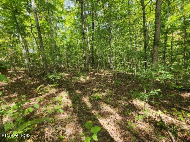 16.22AC Glenobey Road Jamestown TN 38556