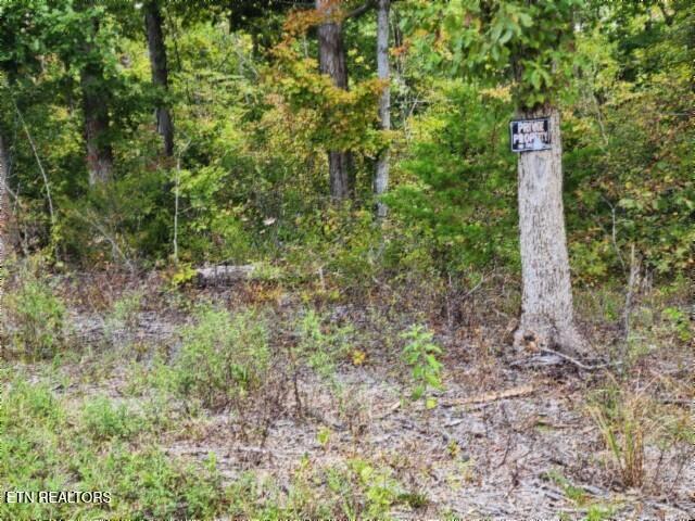 16.22AC Glenobey Road Jamestown TN 38556
