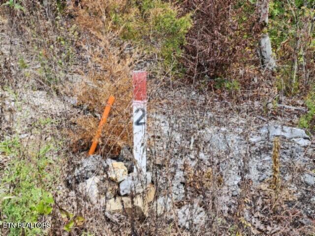 16.22AC Glenobey Road Jamestown TN 38556