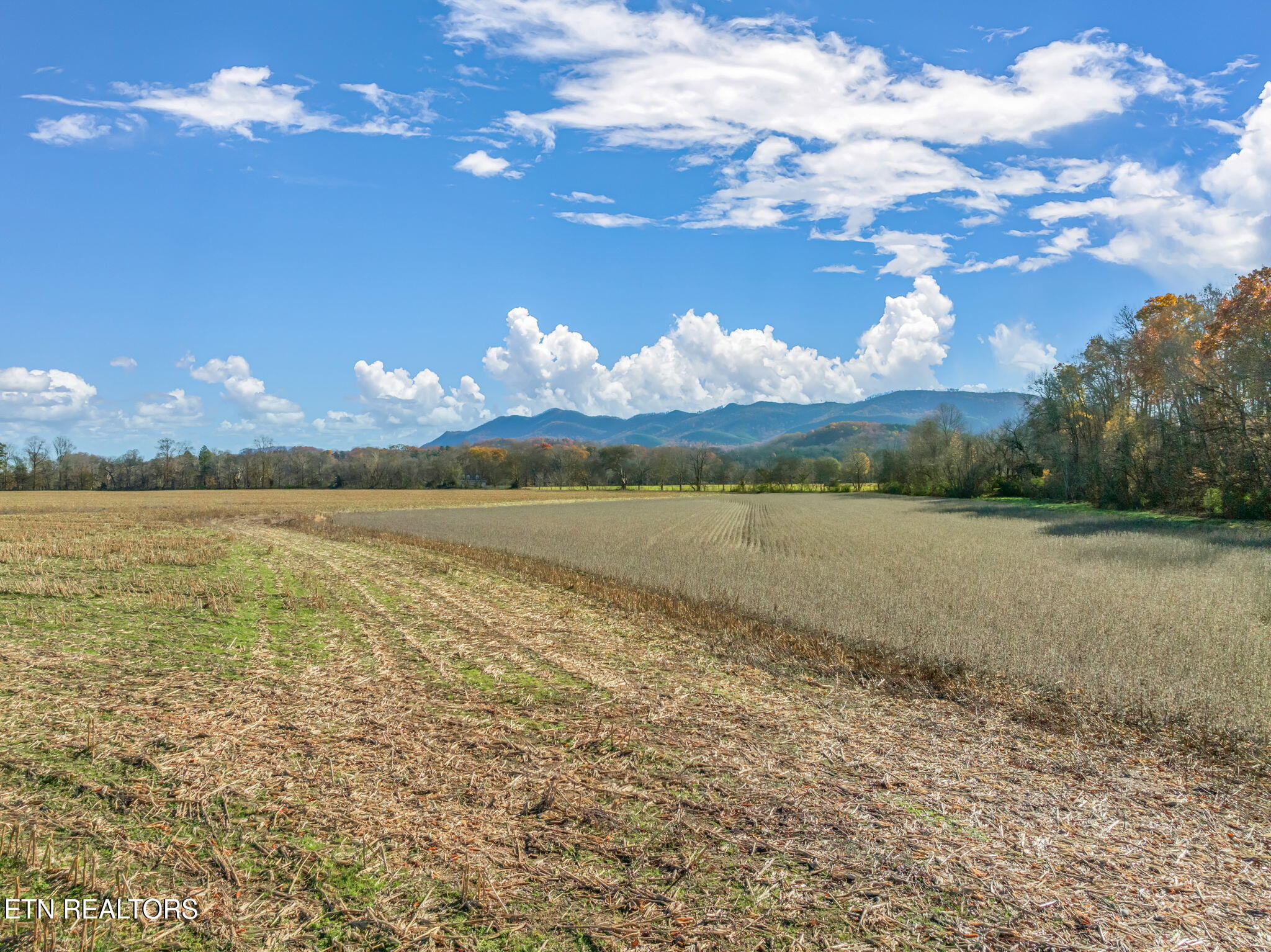 4019 E Lamar Alexander Parkway Walland TN 37886