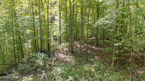 560 Prospect Road Luttrell TN 37779