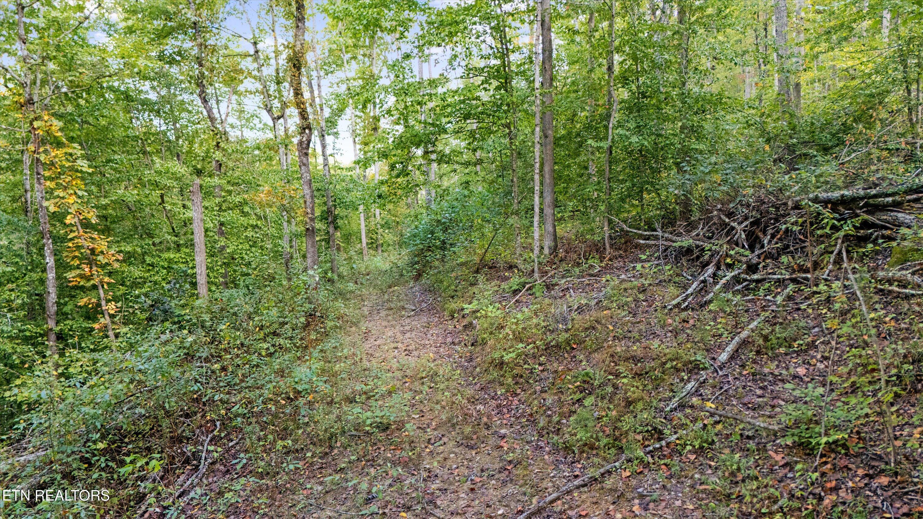 560 Prospect Road Luttrell TN 37779