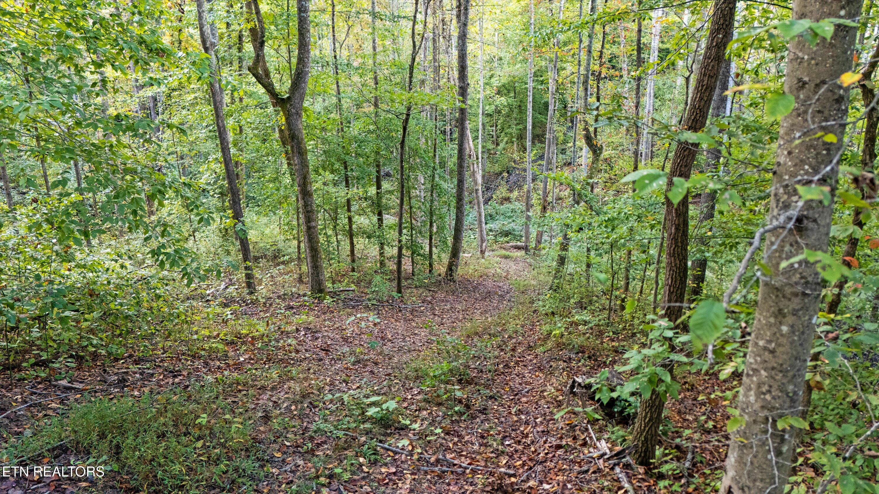 560 Prospect Road Luttrell TN 37779
