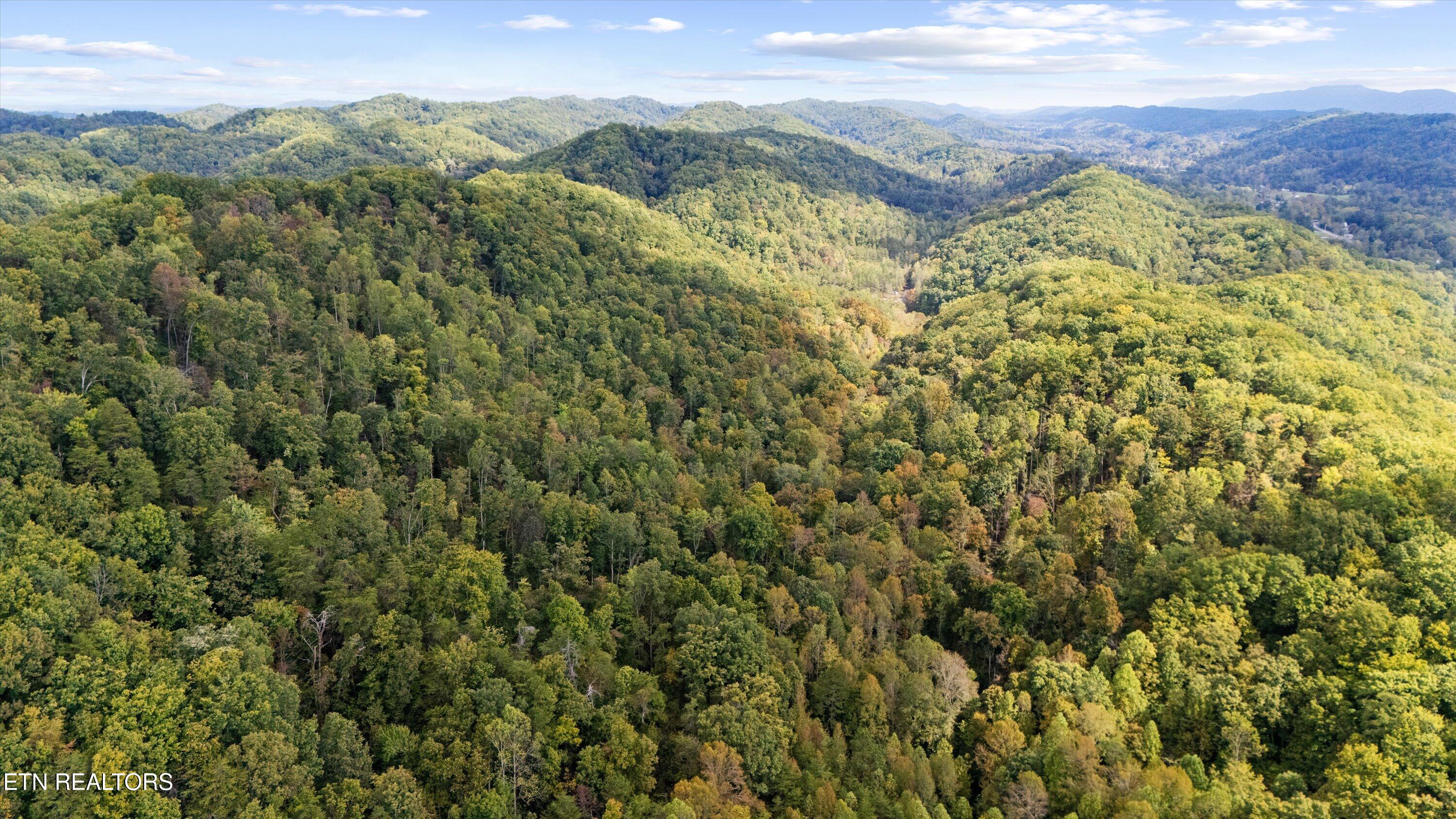 560 Prospect Road Luttrell TN 37779