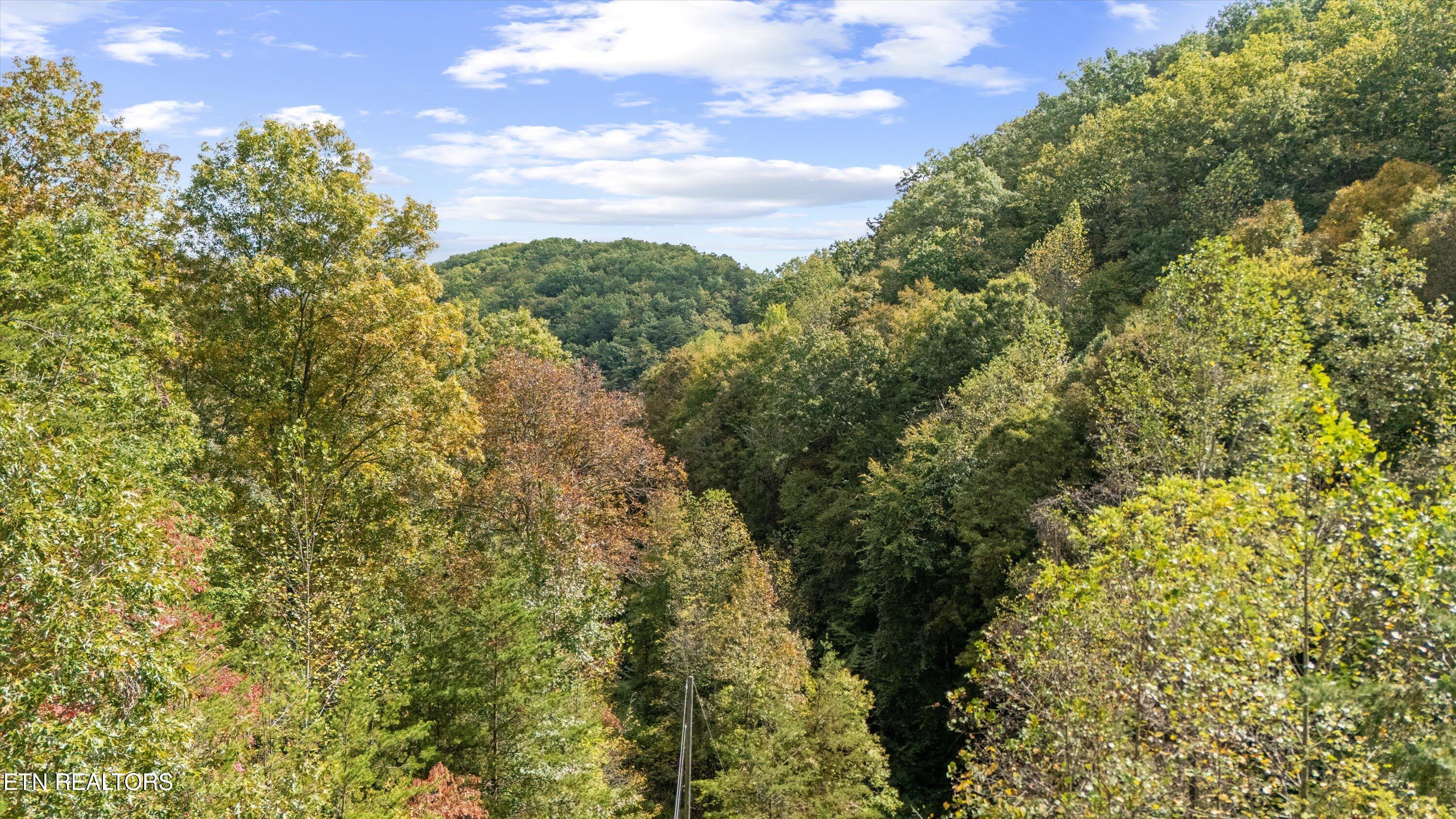 560 Prospect Road Luttrell TN 37779