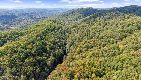 560 Prospect Road Luttrell TN 37779