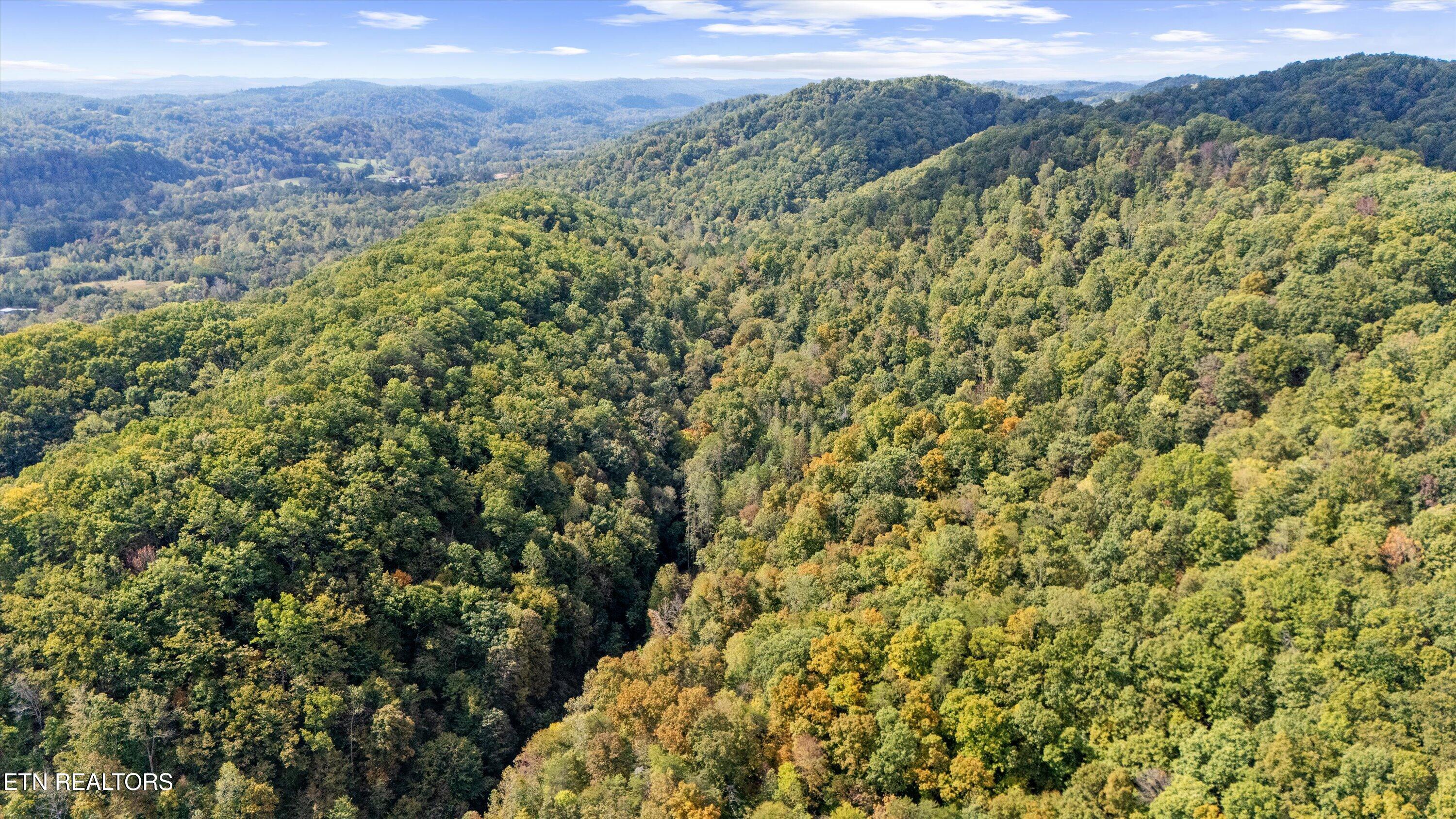 560 Prospect Road Luttrell TN 37779