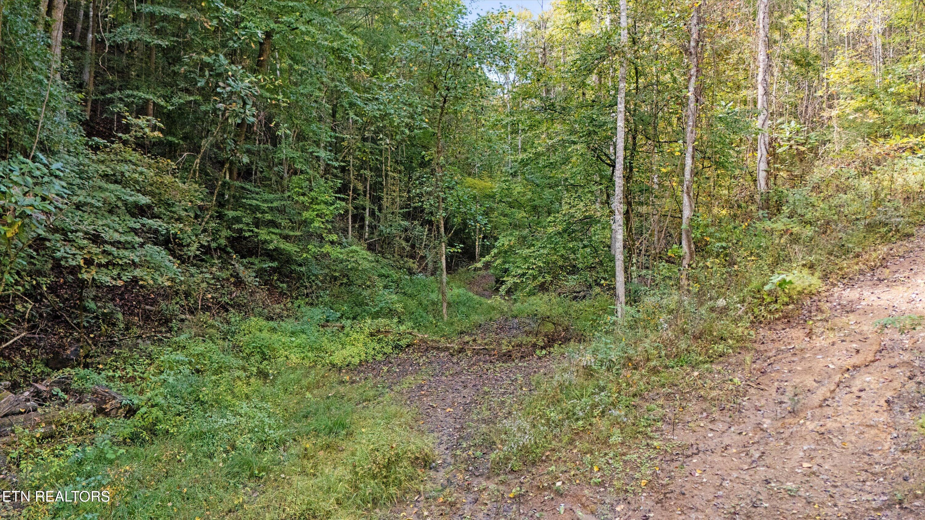 560 Prospect Road Luttrell TN 37779
