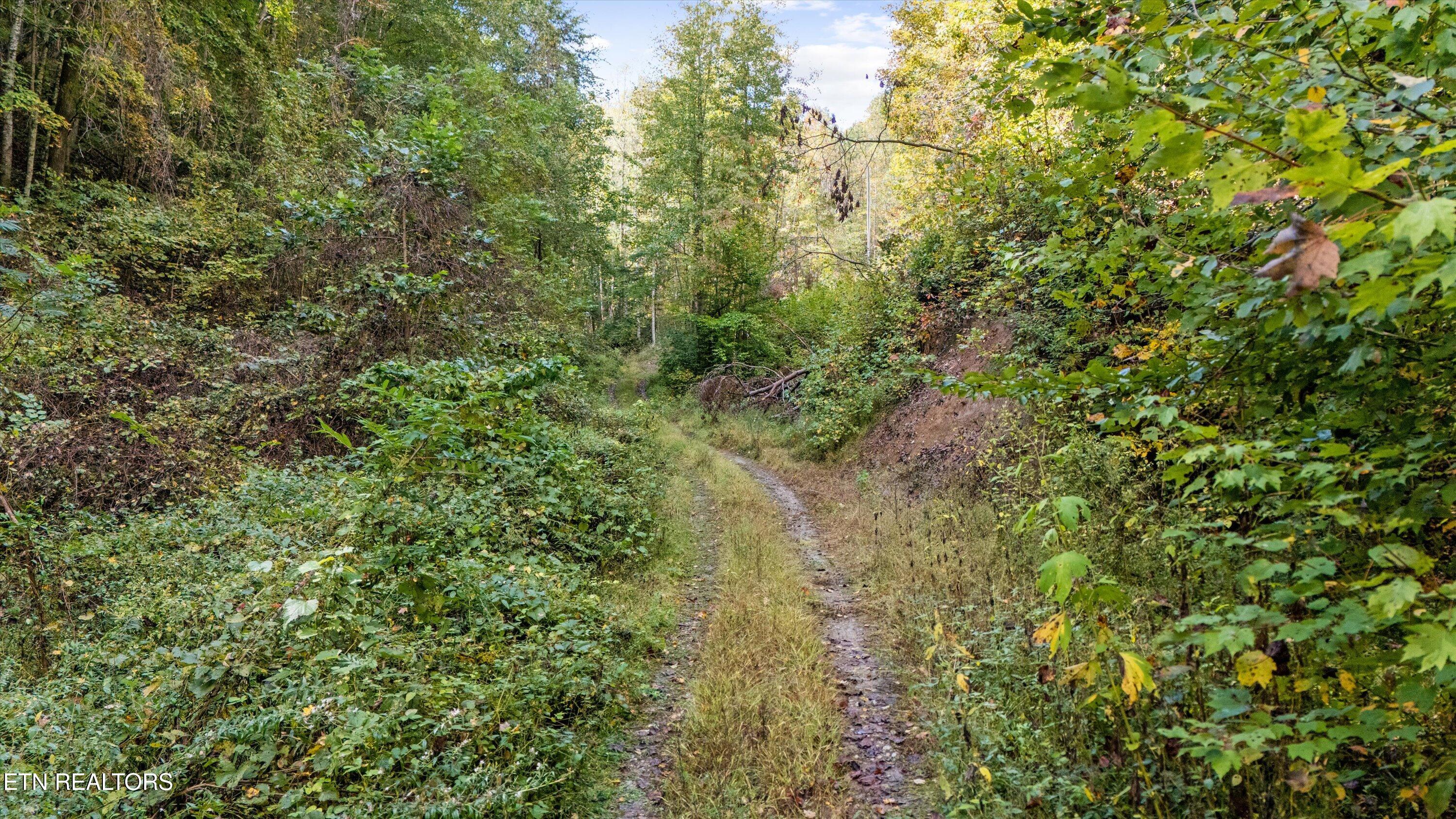 560 Prospect Road Luttrell TN 37779