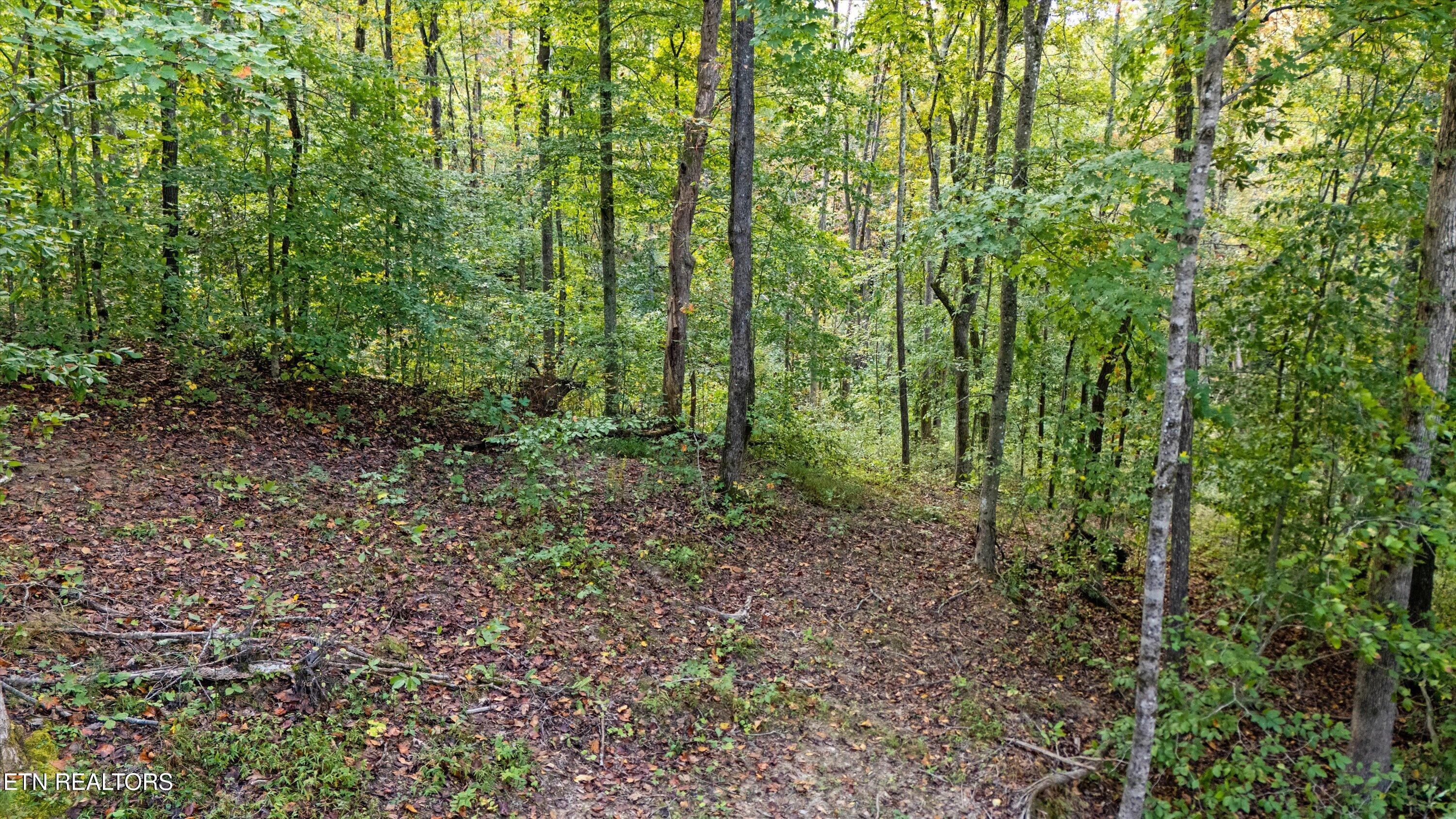 560 Prospect Road Luttrell TN 37779