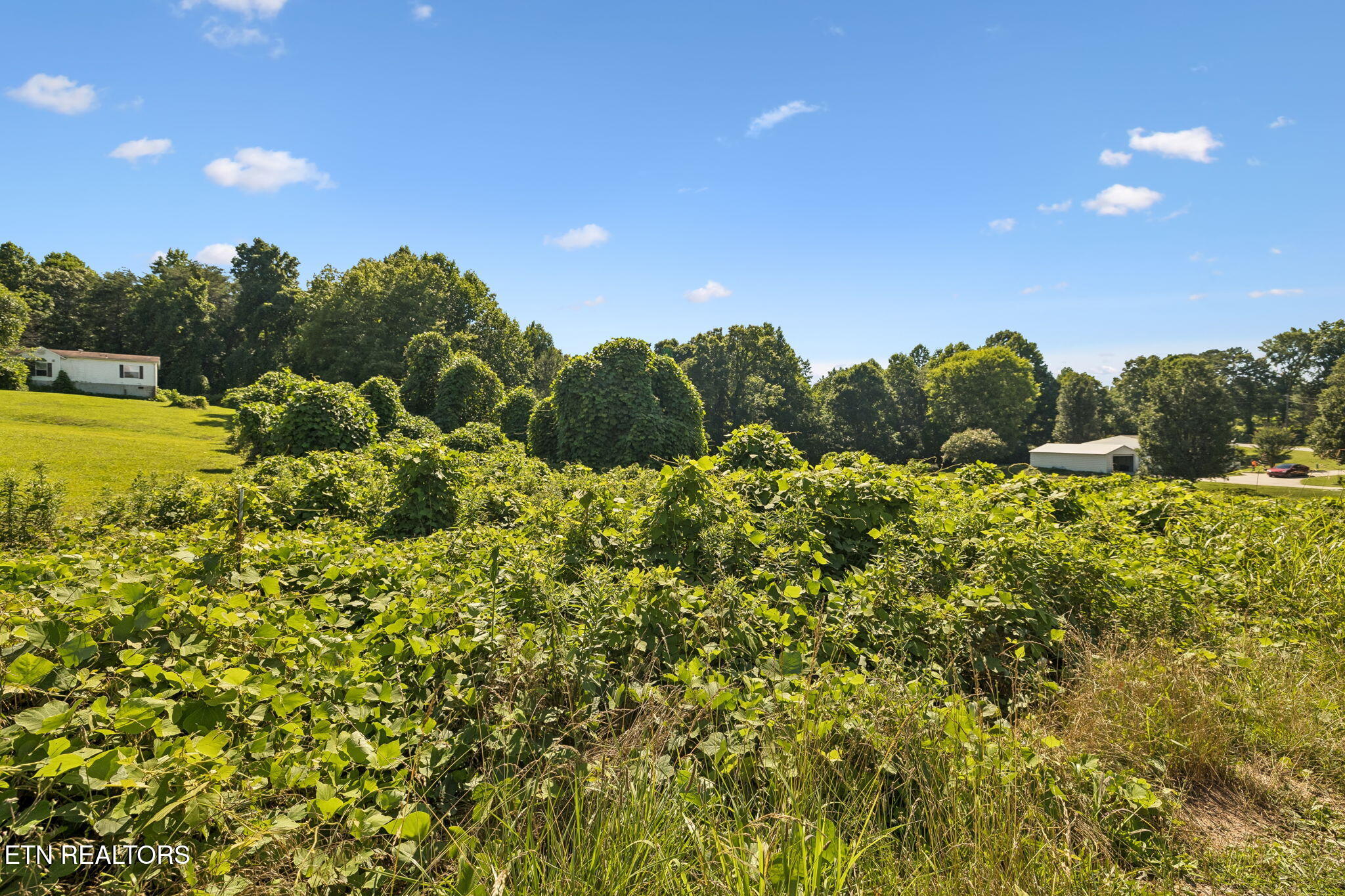 140 Scenic View Lane Madisonville TN 37354