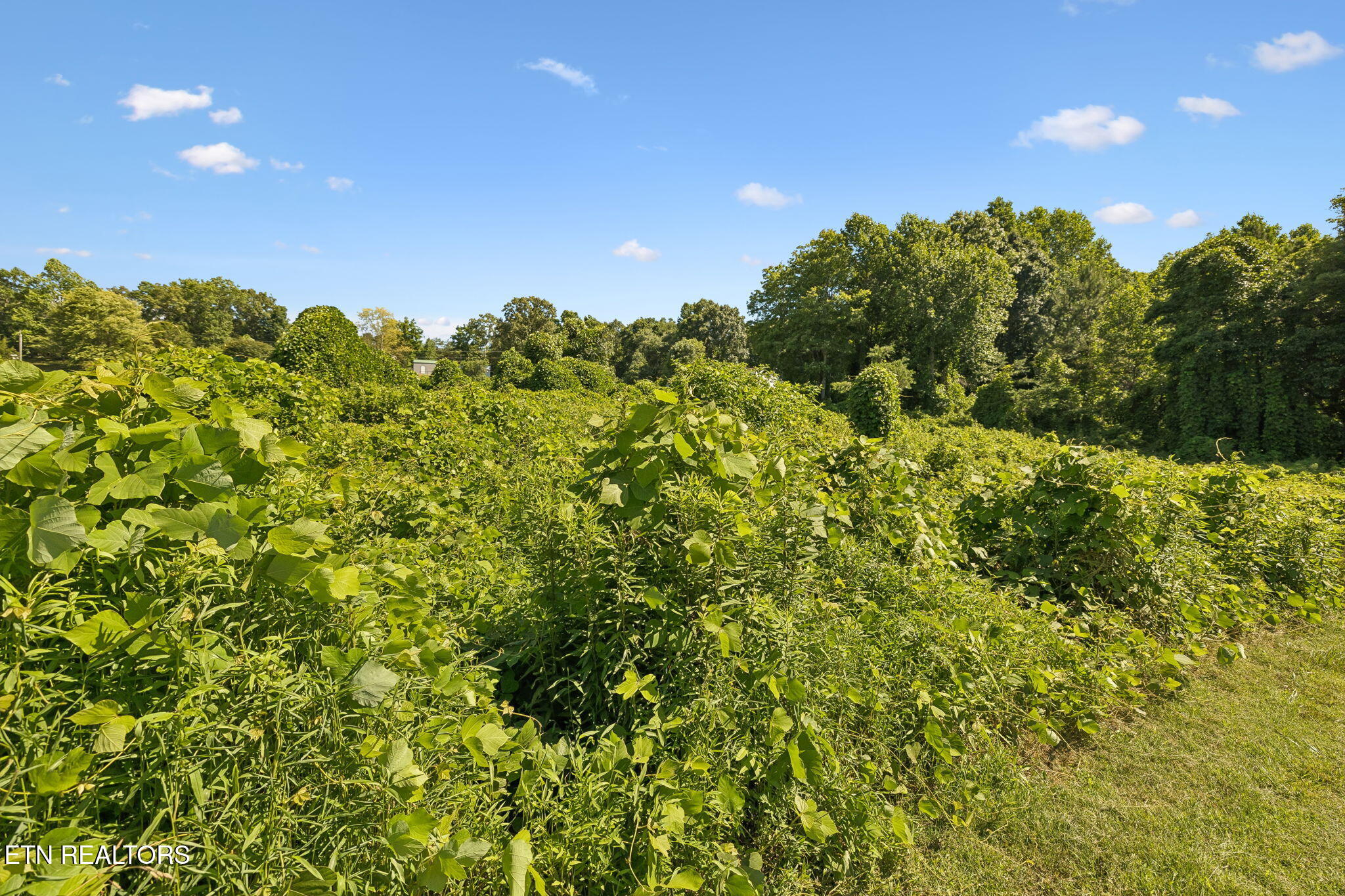 140 Scenic View Lane Madisonville TN 37354