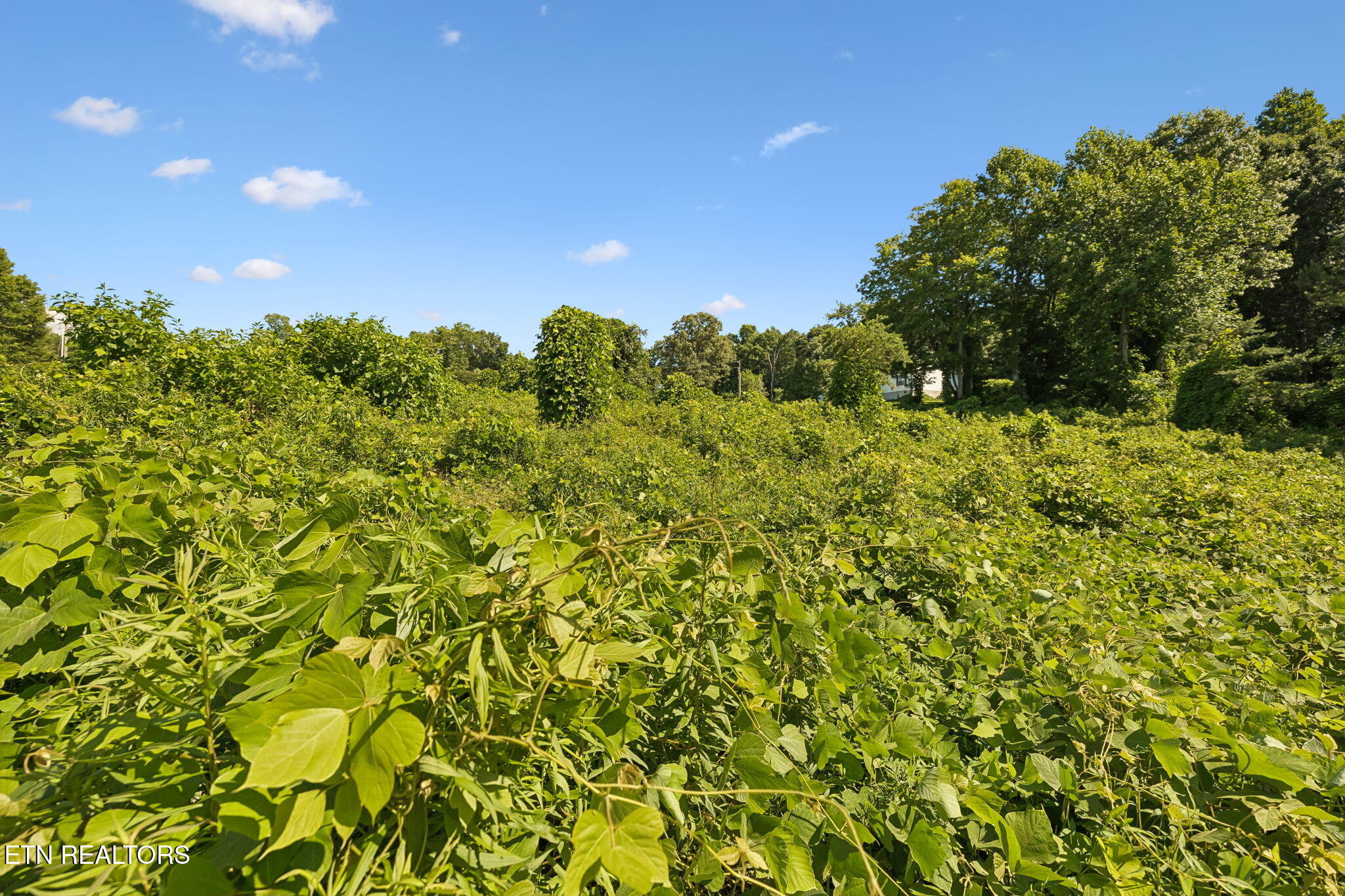 140 Scenic View Lane Madisonville TN 37354