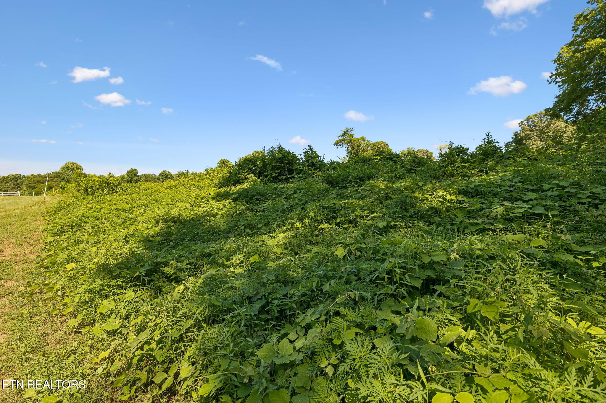 140 Scenic View Lane Madisonville TN 37354