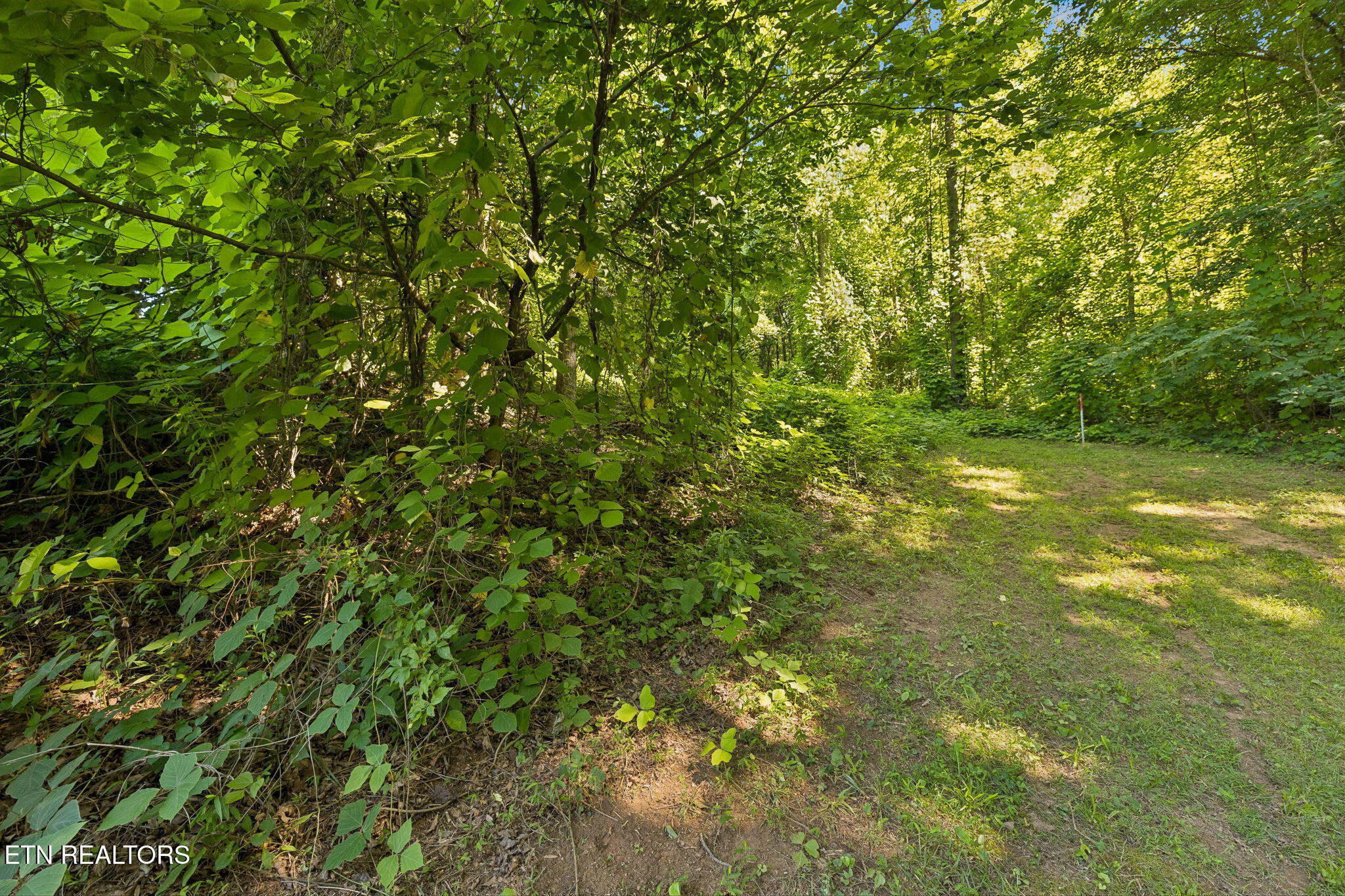 140 Scenic View Lane Madisonville TN 37354