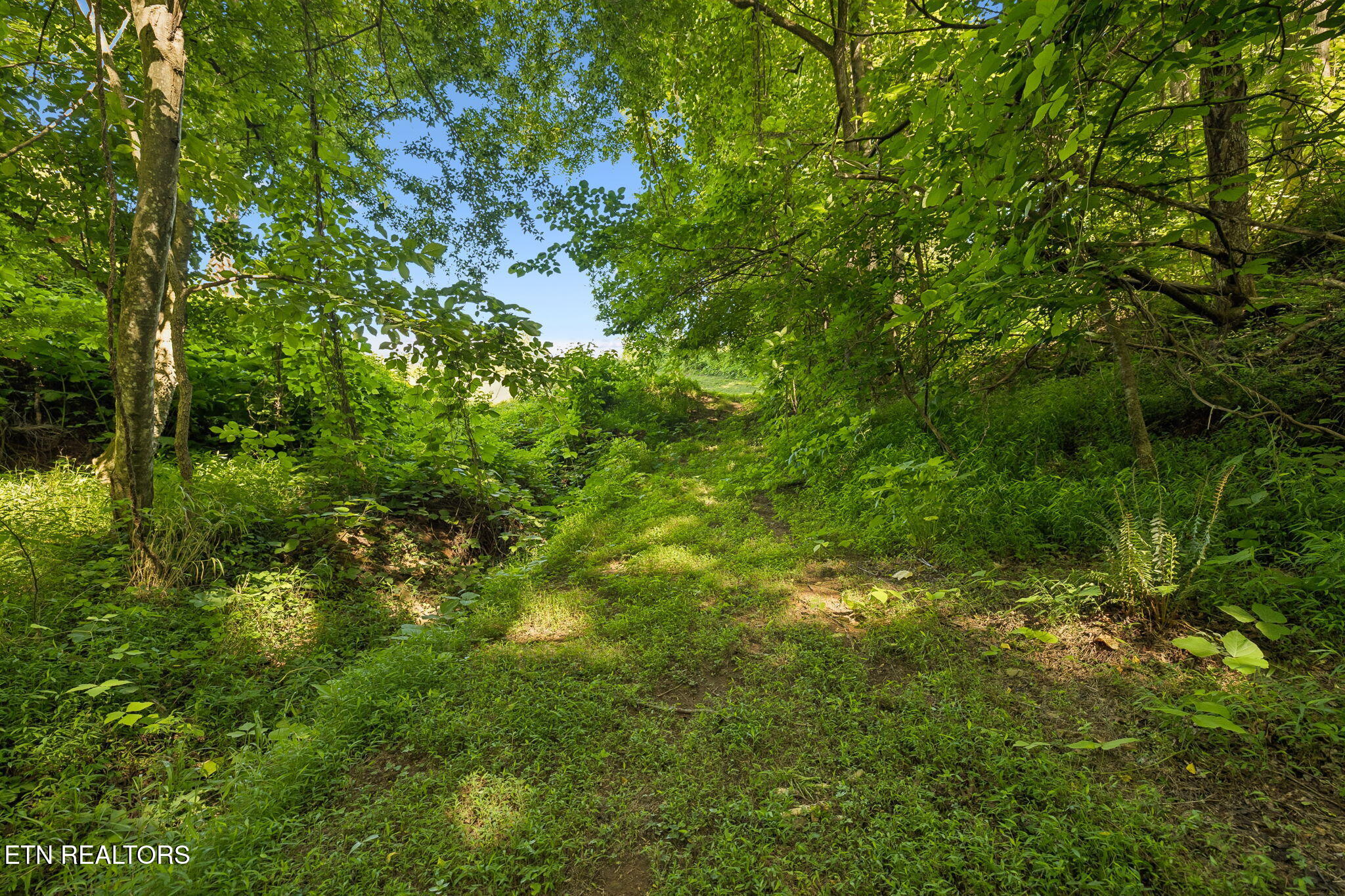 140 Scenic View Lane Madisonville TN 37354