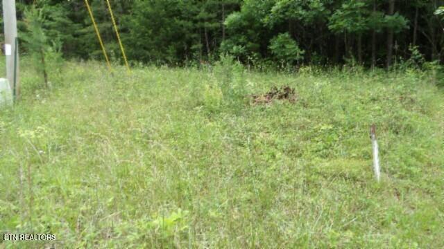 Lot 48 Parkstown Extension Road Wilder TN 38589