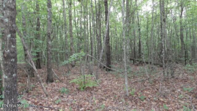 Lot 48 Parkstown Extension Road Wilder TN 38589