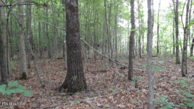 Lot 48 Parkstown Extension Road Wilder TN 38589