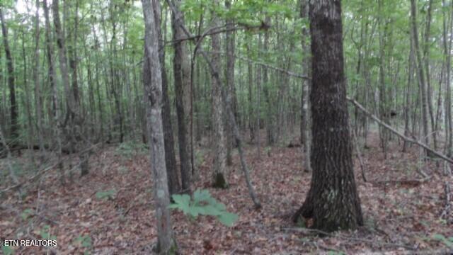 Lot 48 Parkstown Extension Road Wilder TN 38589