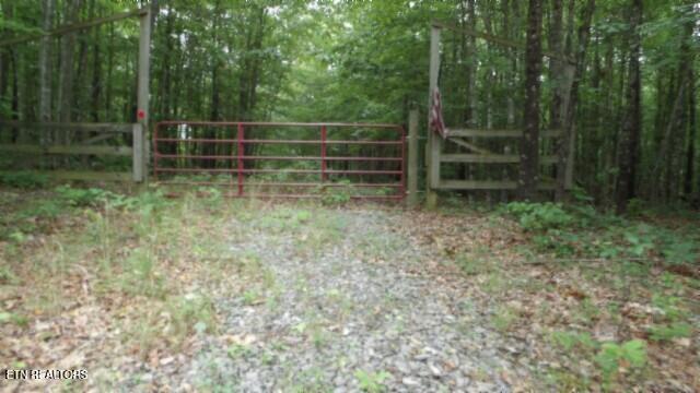Lot 48 Parkstown Extension Road Wilder TN 38589