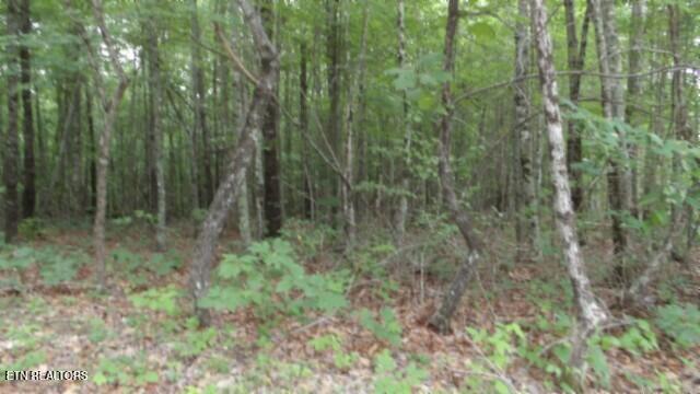 Lot 48 Parkstown Extension Road Wilder TN 38589