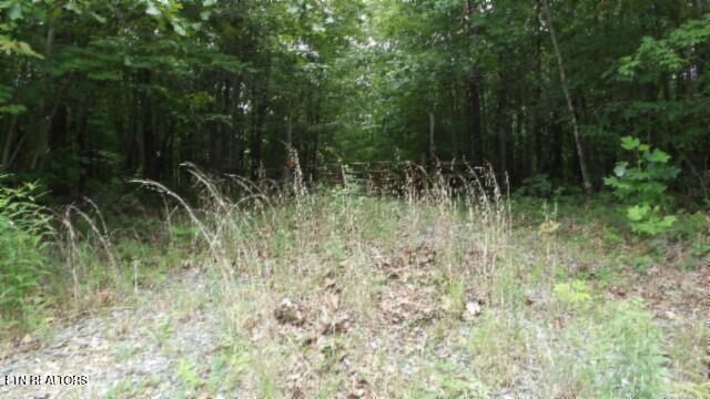 Lot 48 Parkstown Extension Road Wilder TN 38589