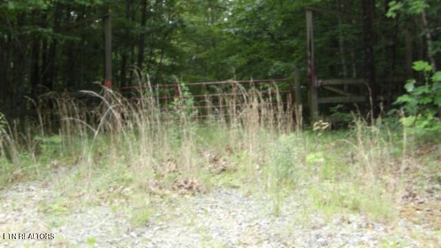 Lot 48 Parkstown Extension Road Wilder TN 38589