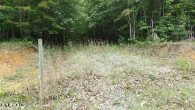 Lot 48 Parkstown Extension Road Wilder TN 38589