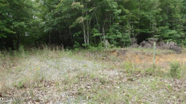 Lot 48 Parkstown Extension Road Wilder TN 38589