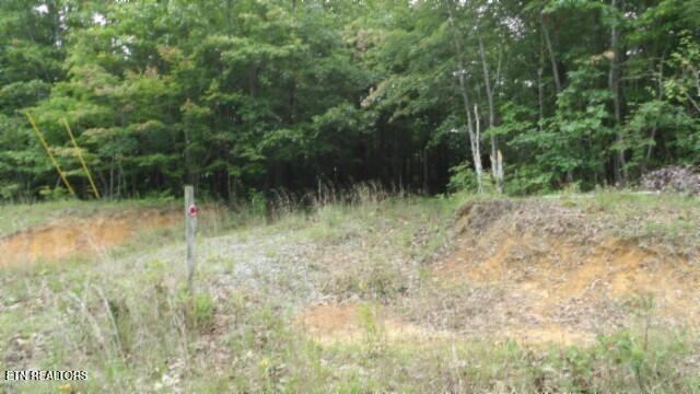 Lot 48 Parkstown Extension Road Wilder TN 38589