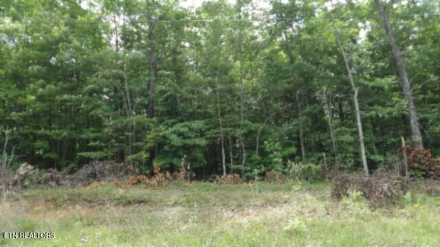 Lot 48 Parkstown Extension Road Wilder TN 38589