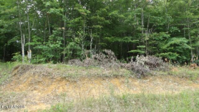 Lot 48 Parkstown Extension Road Wilder TN 38589