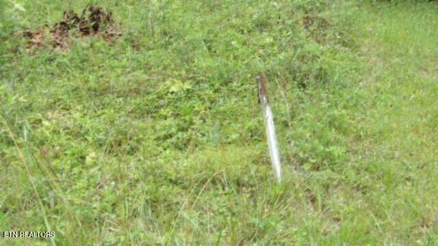 Lot 48 Parkstown Extension Road Wilder TN 38589