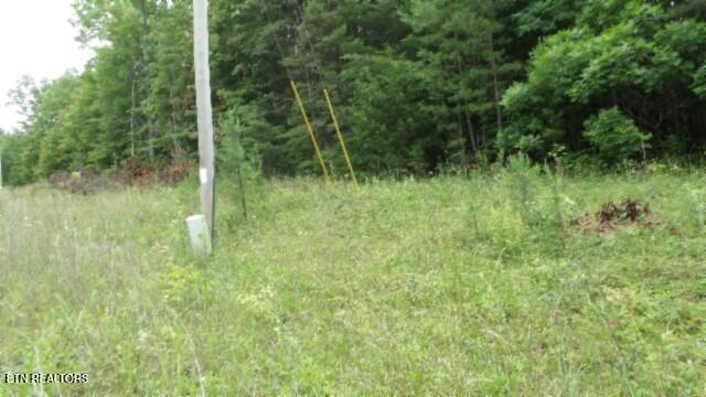 Lot 48 Parkstown Extension Road Wilder TN 38589