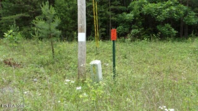Lot 48 Parkstown Extension Road Wilder TN 38589