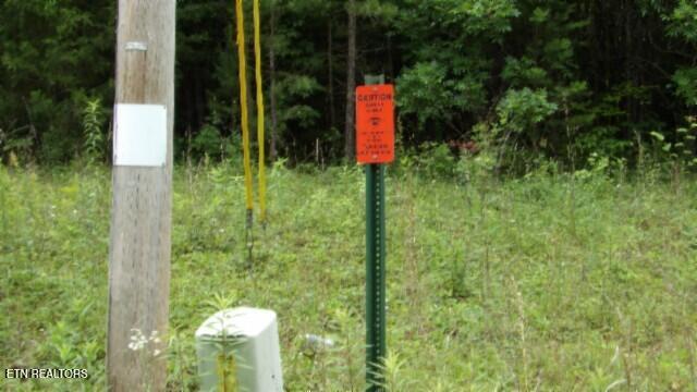 Lot 48 Parkstown Extension Road Wilder TN 38589