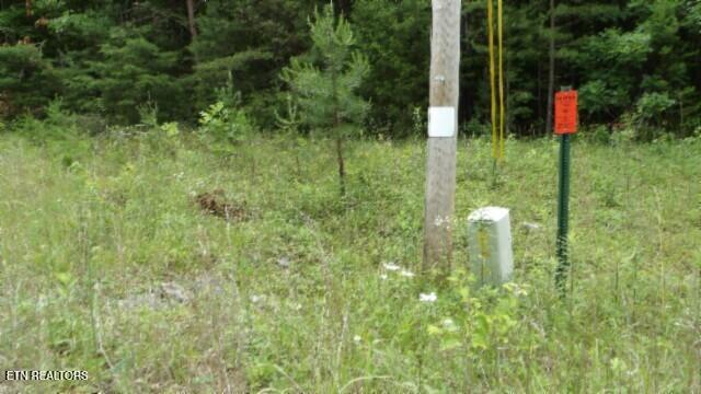 Lot 48 Parkstown Extension Road Wilder TN 38589