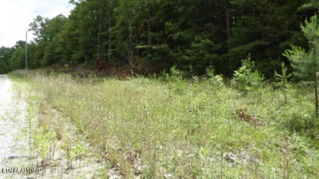 Lot 48 Parkstown Extension Road Wilder TN 38589