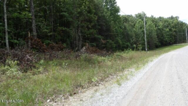 Lot 48 Parkstown Extension Road Wilder TN 38589