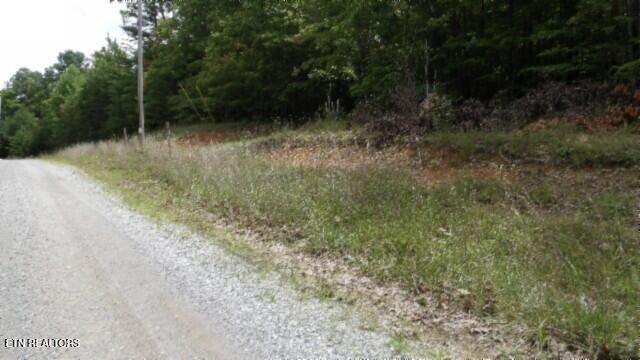 Lot 48 Parkstown Extension Road Wilder TN 38589