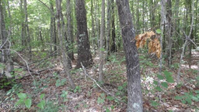 Lot 48 Parkstown Extension Road Wilder TN 38589