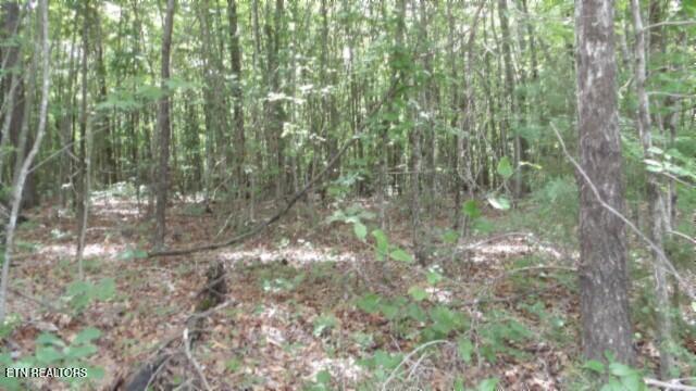Lot 48 Parkstown Extension Road Wilder TN 38589