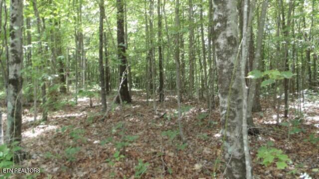 Lot 48 Parkstown Extension Road Wilder TN 38589