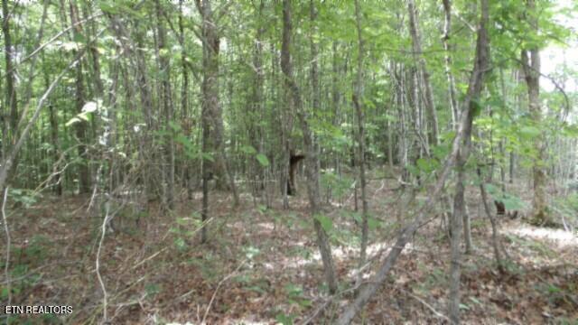Lot 48 Parkstown Extension Road Wilder TN 38589