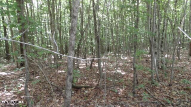 Lot 48 Parkstown Extension Road Wilder TN 38589