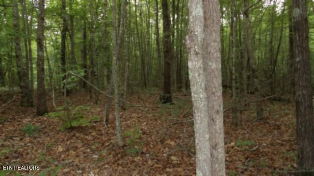 Lot 48 Parkstown Extension Road Wilder TN 38589